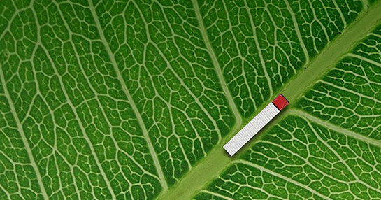 Decarbonizing Logistics: The Tech and Strategies Driving Greener, More Profitable Supply Chains