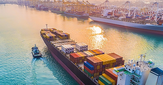 Leader des plateformes logicielles d'approvisionnement — 4 ans d'existence